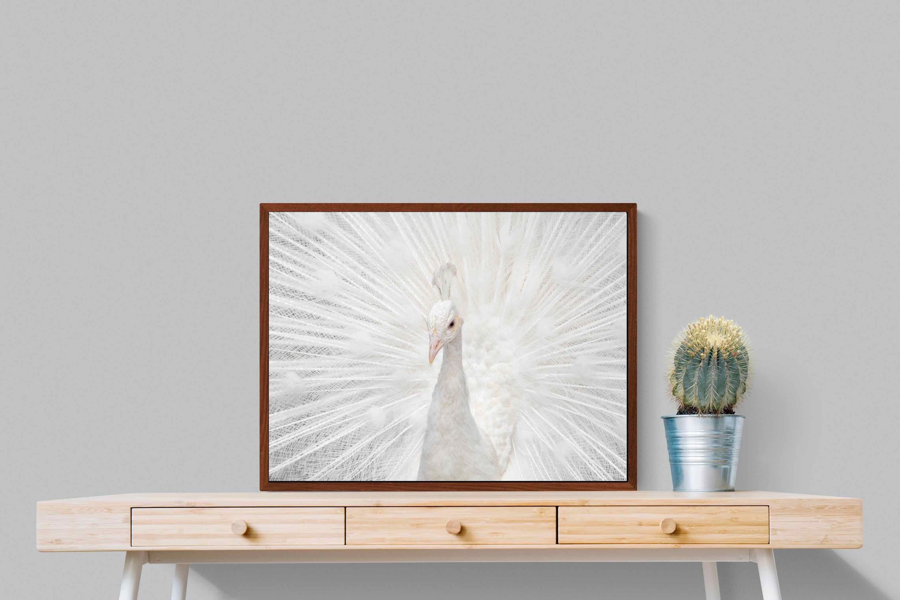 Pixalot ® White Peacock