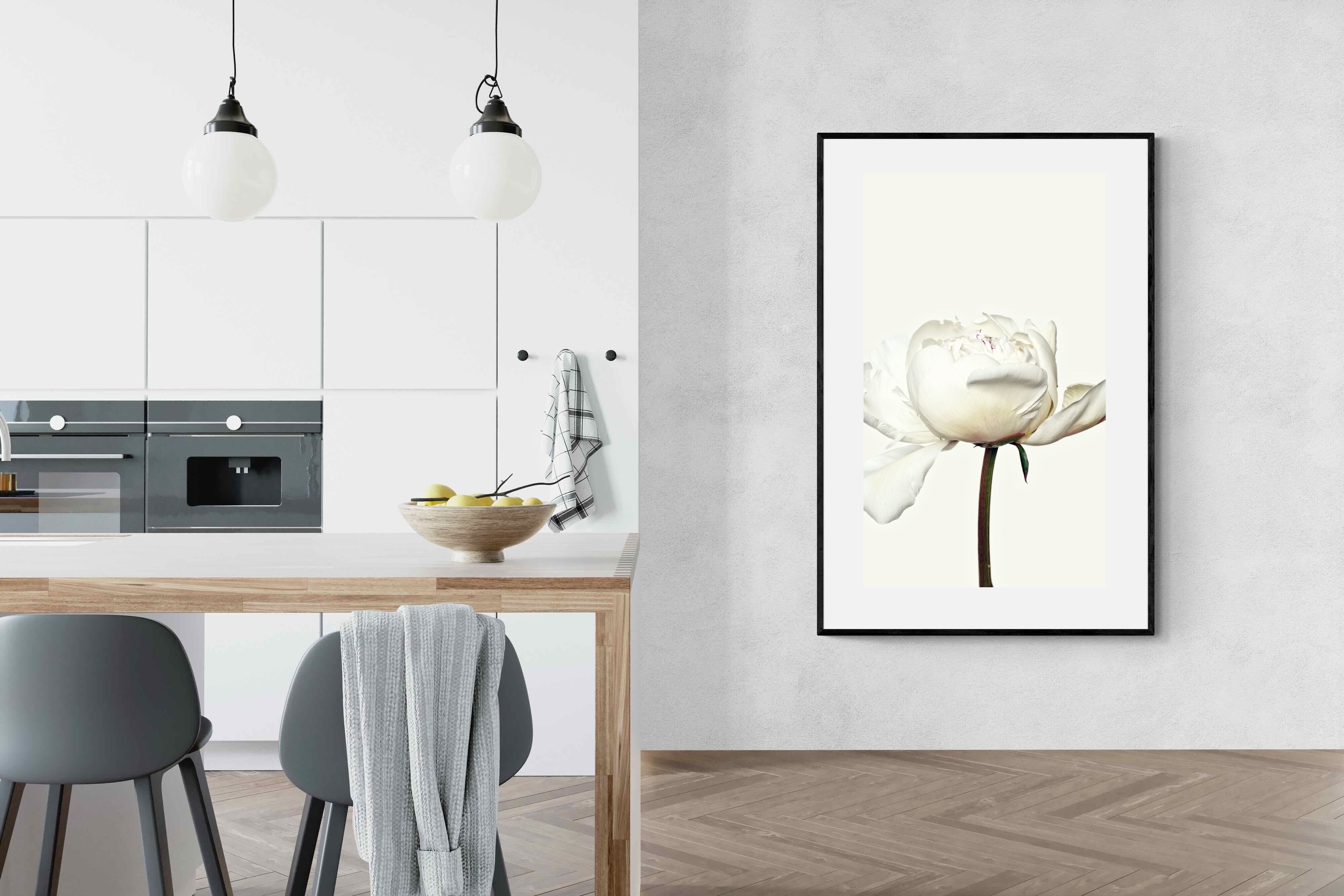 Pixalot White Peony