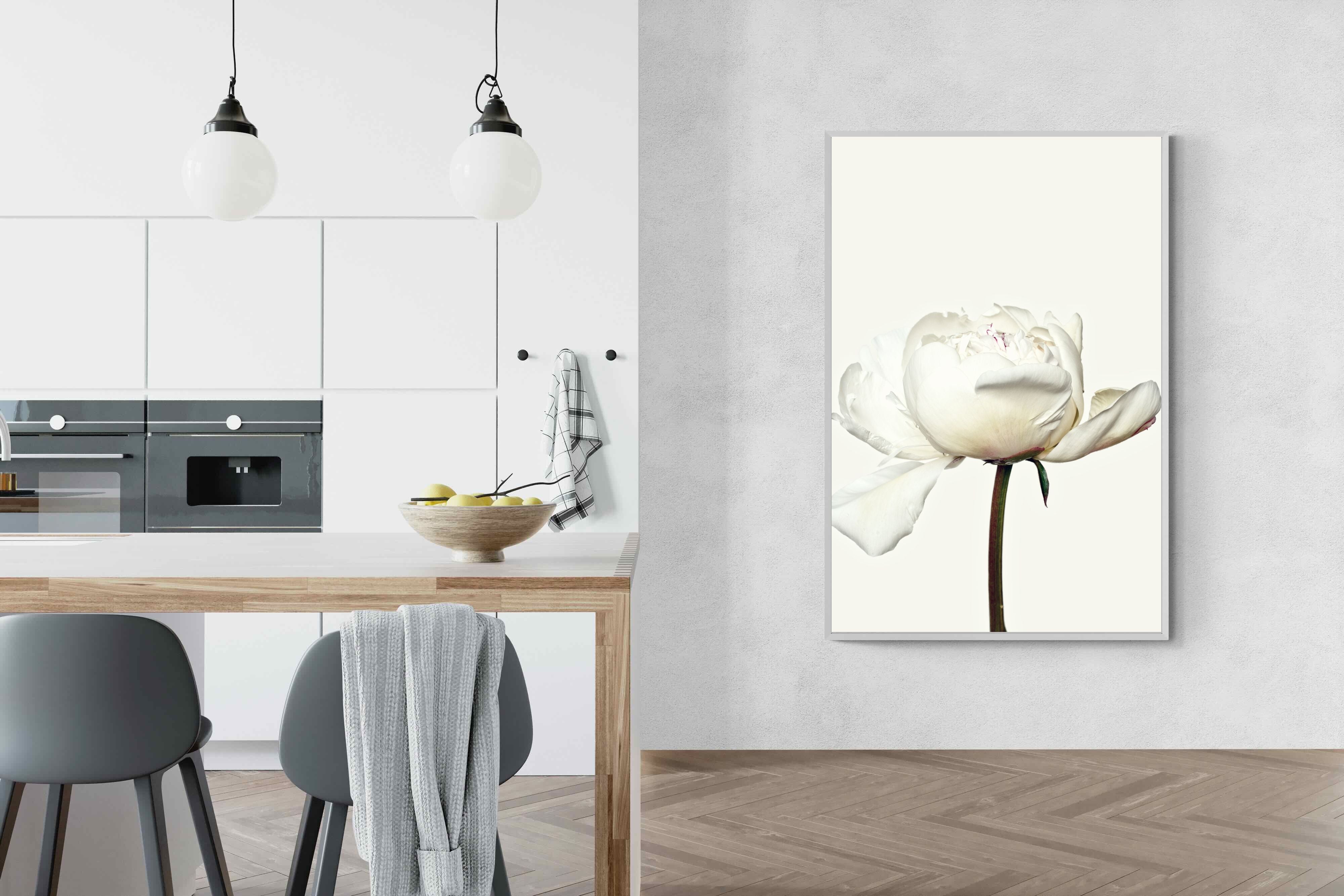 Pixalot White Peony