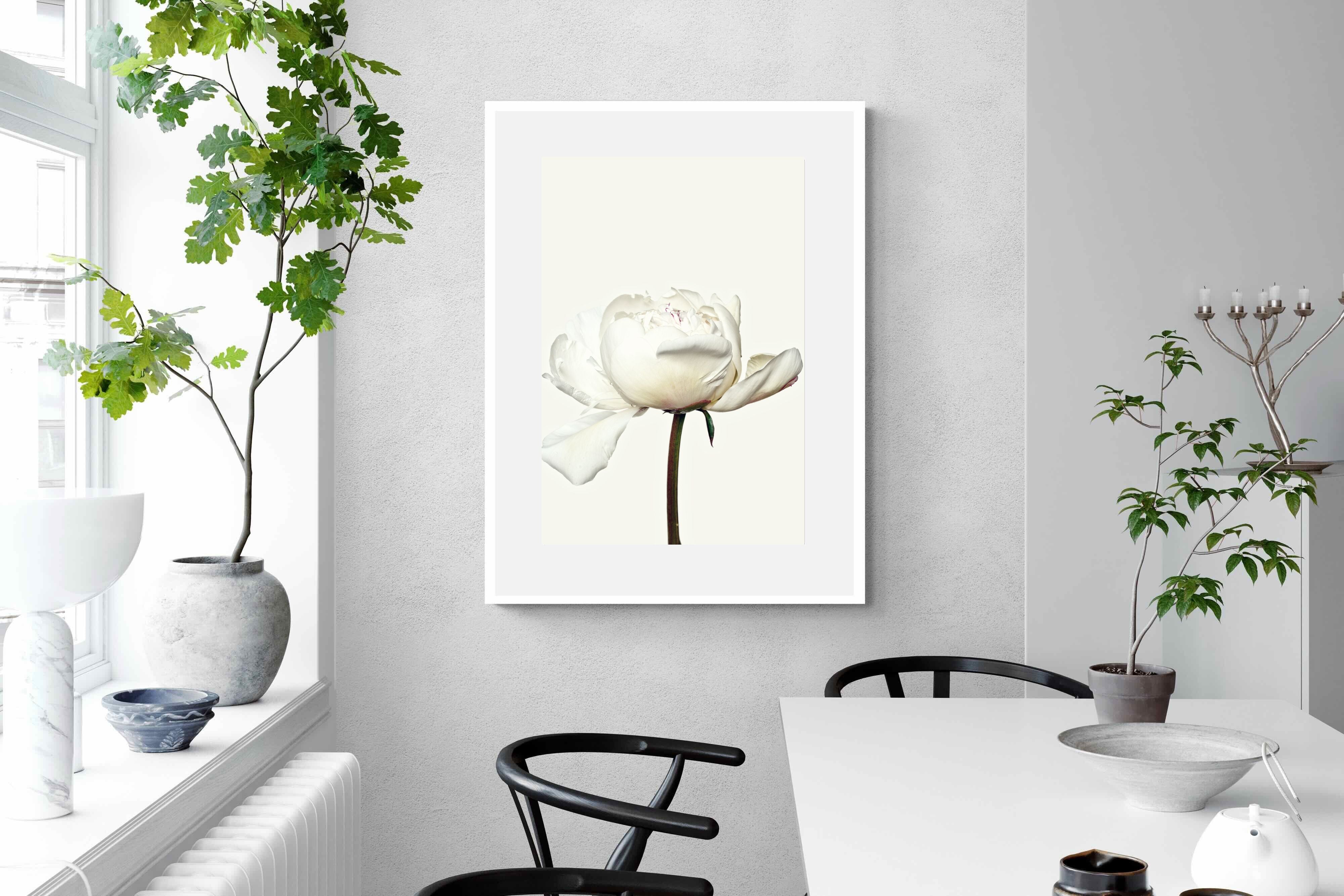 Pixalot White Peony