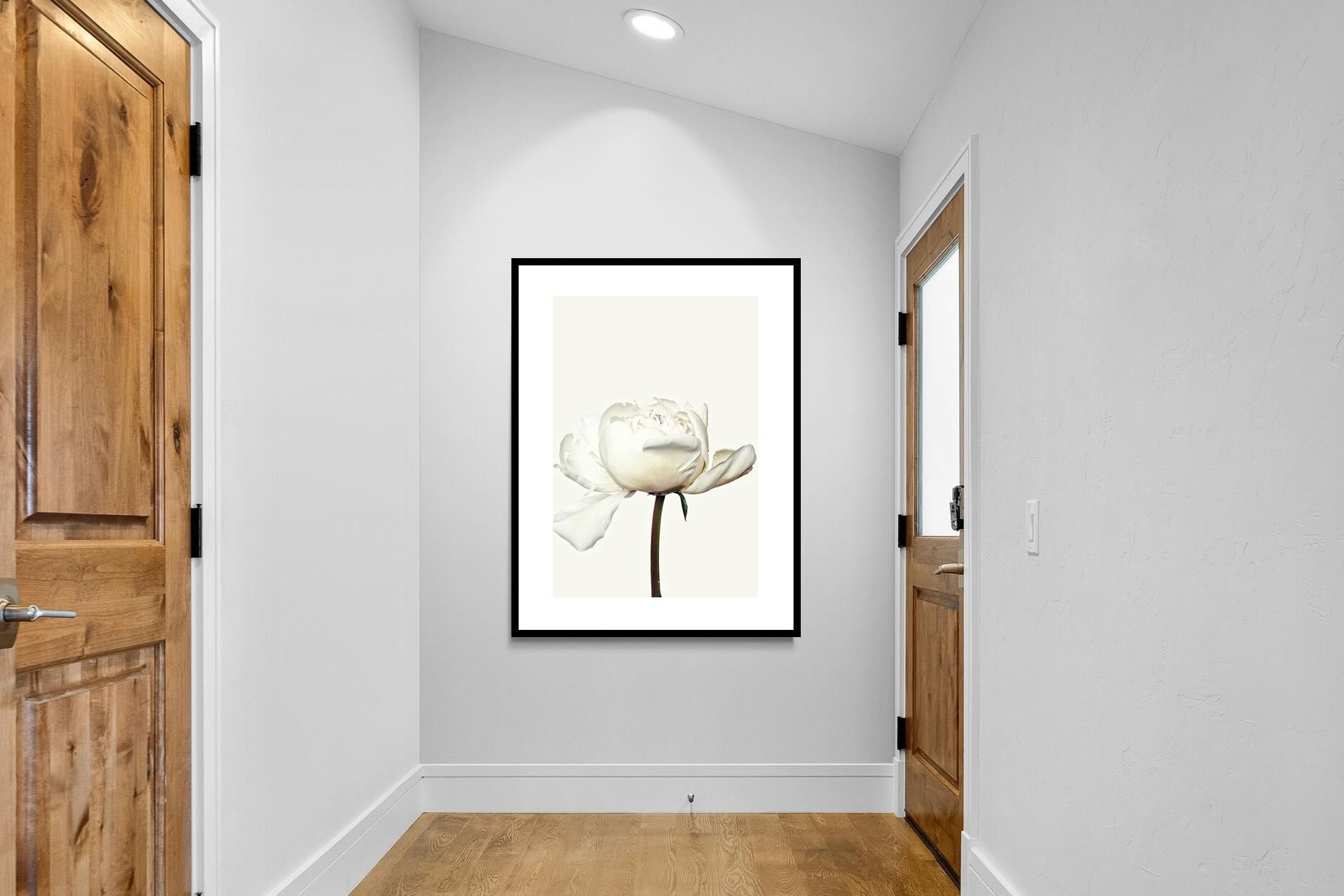 Pixalot White Peony