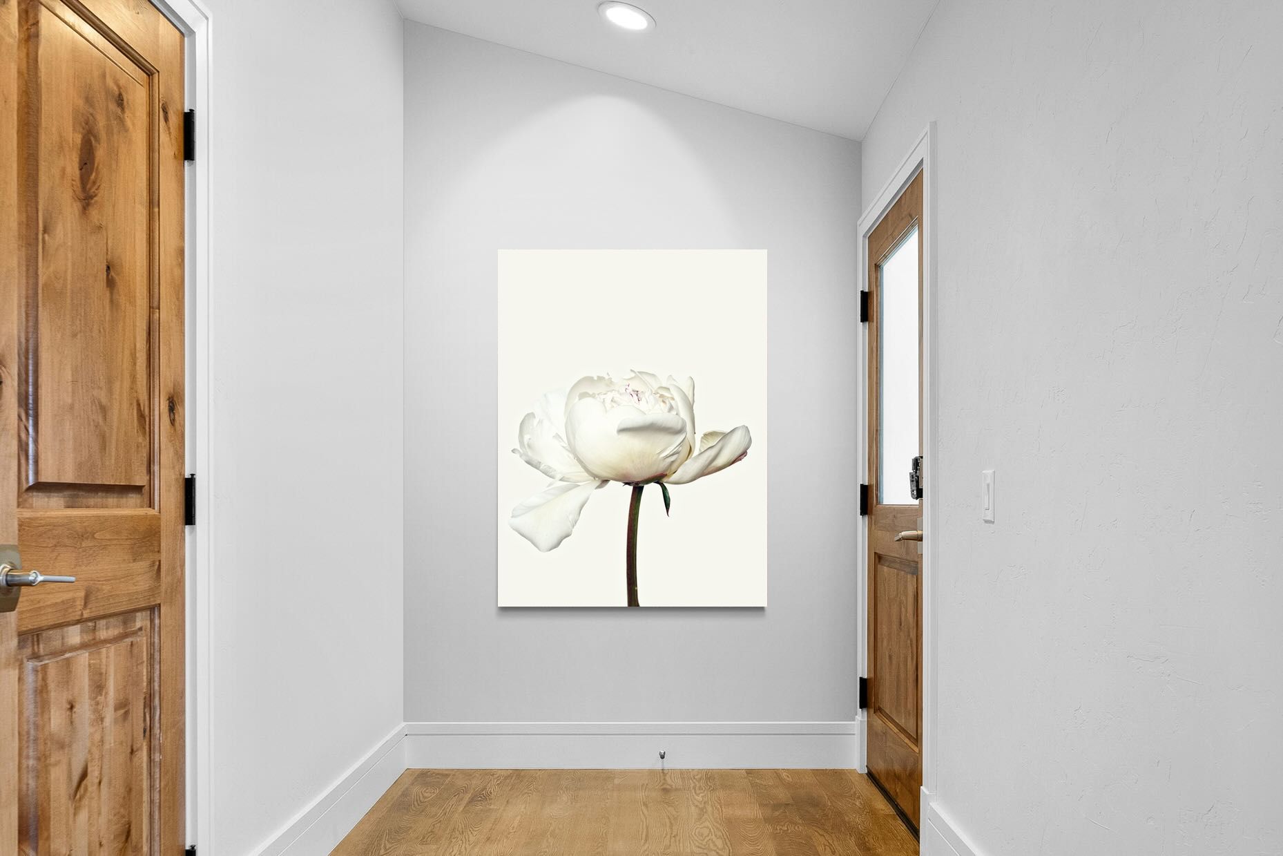 Pixalot White Peony