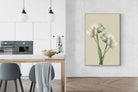 Pixalot White Ranunculus