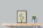 Pixalot White Ranunculus