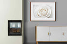 Pixalot ® White Rose