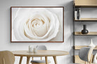 Pixalot ® White Rose