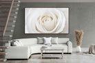 Pixalot ® White Rose