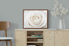 Pixalot ® White Rose