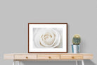 Pixalot ® White Rose