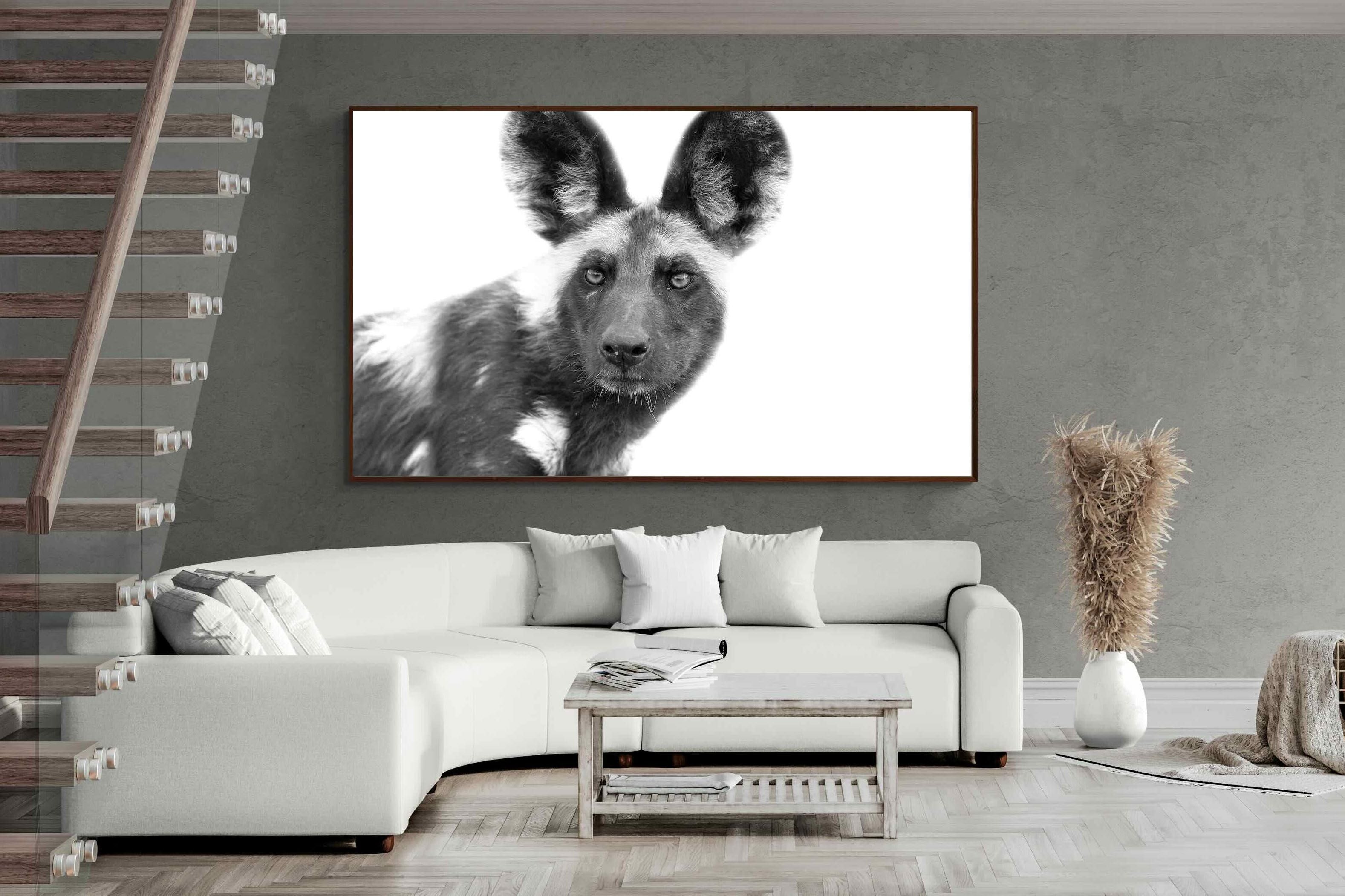 Pixalot ® Wild Dog