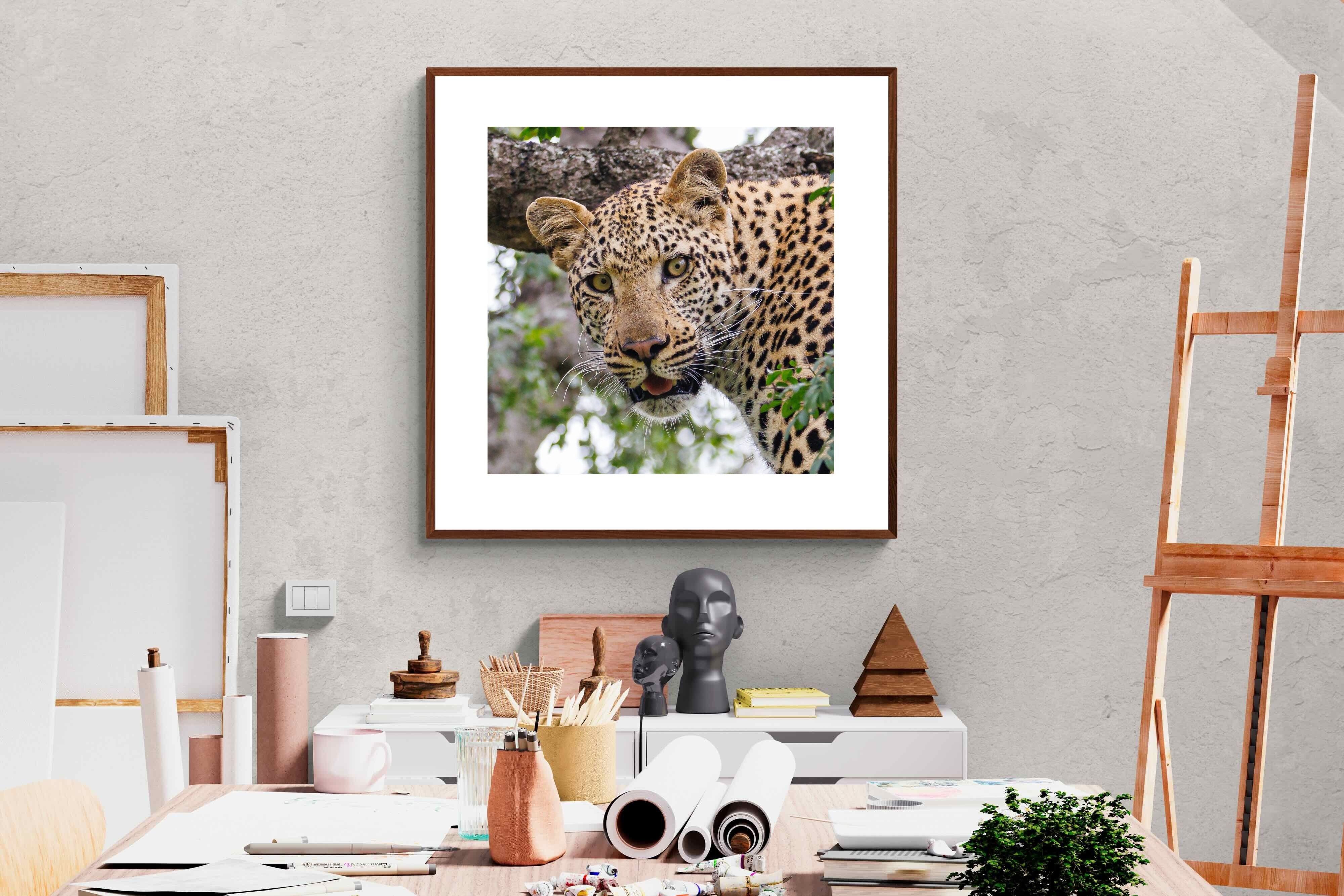 Pixalot ® Wild Gaze