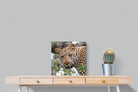 Pixalot ® Wild Gaze