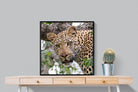 Pixalot ® Wild Gaze