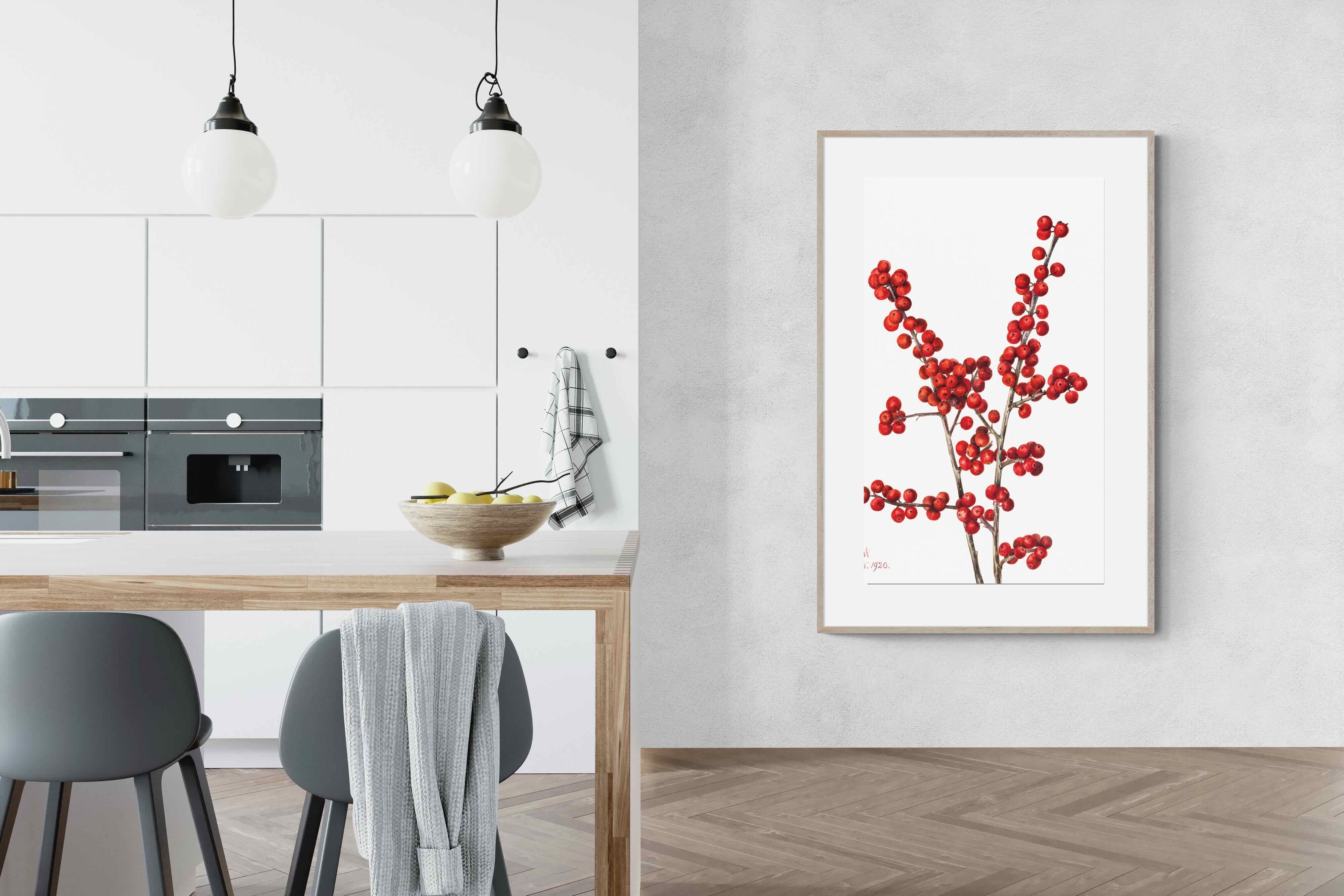 Pixalot Winterberry