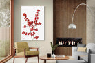 Pixalot Winterberry