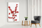 Pixalot Winterberry