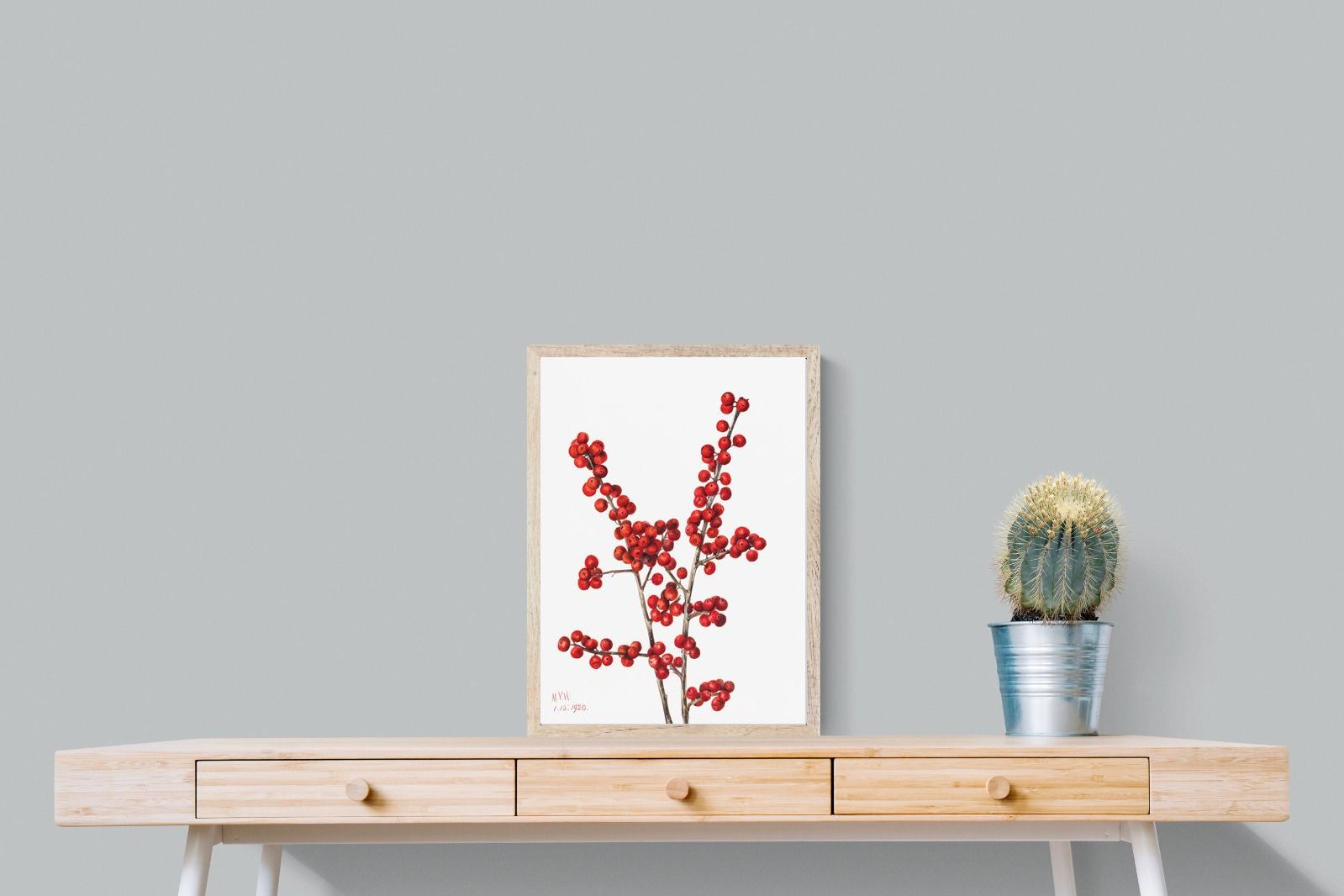 Pixalot Winterberry