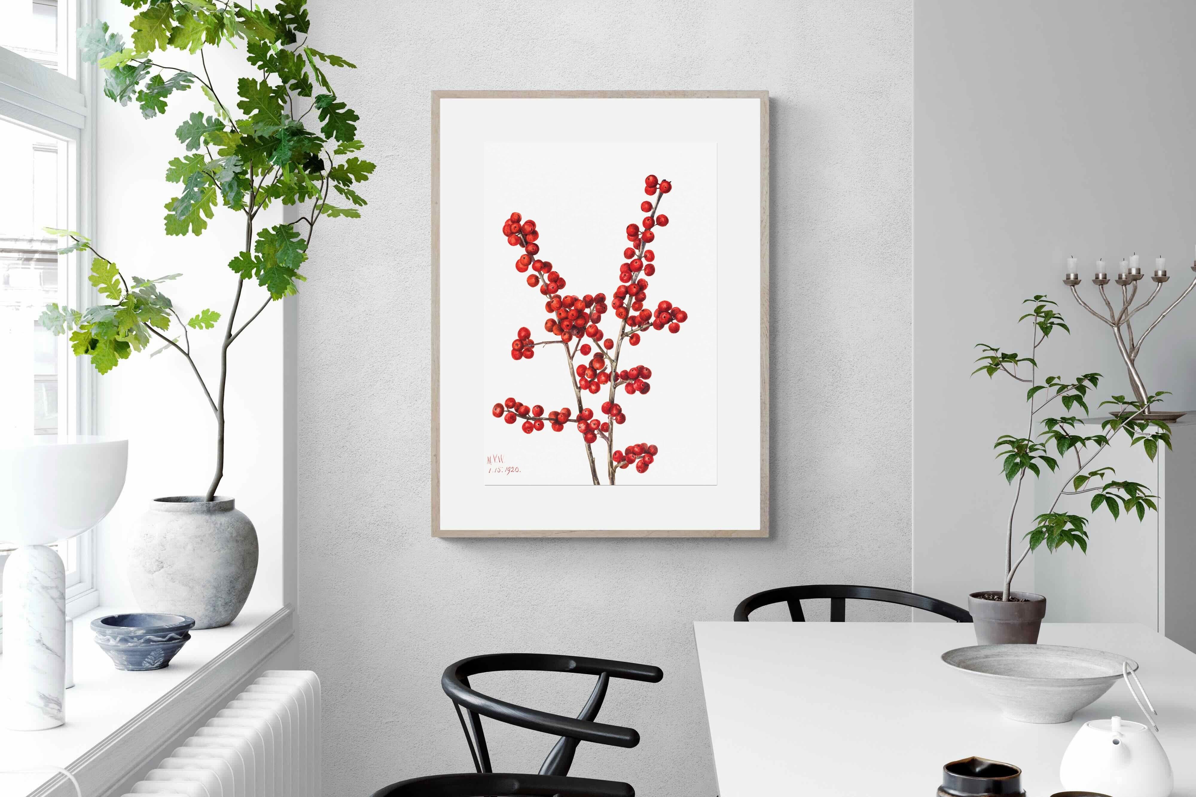 Pixalot Winterberry