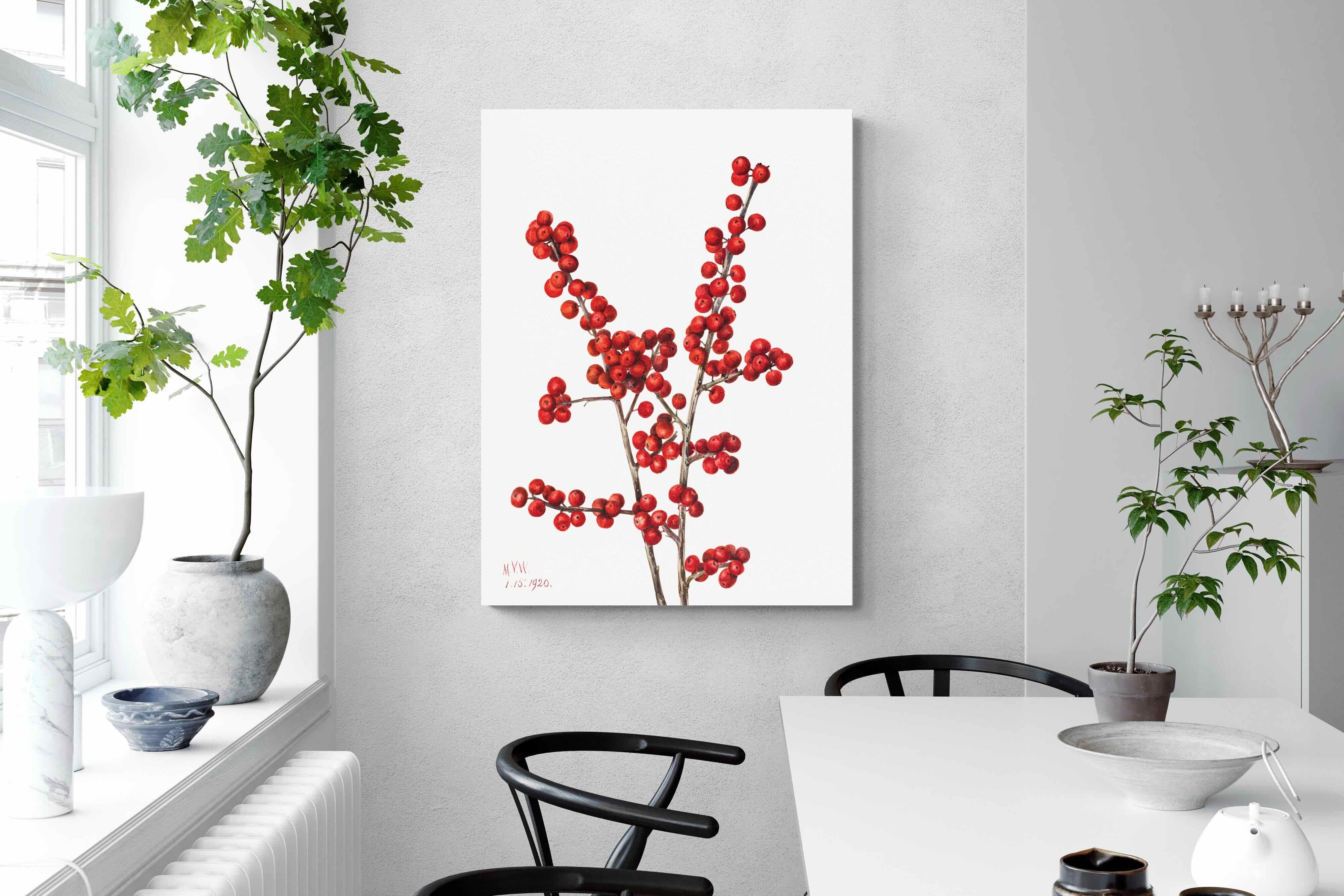 Pixalot Winterberry