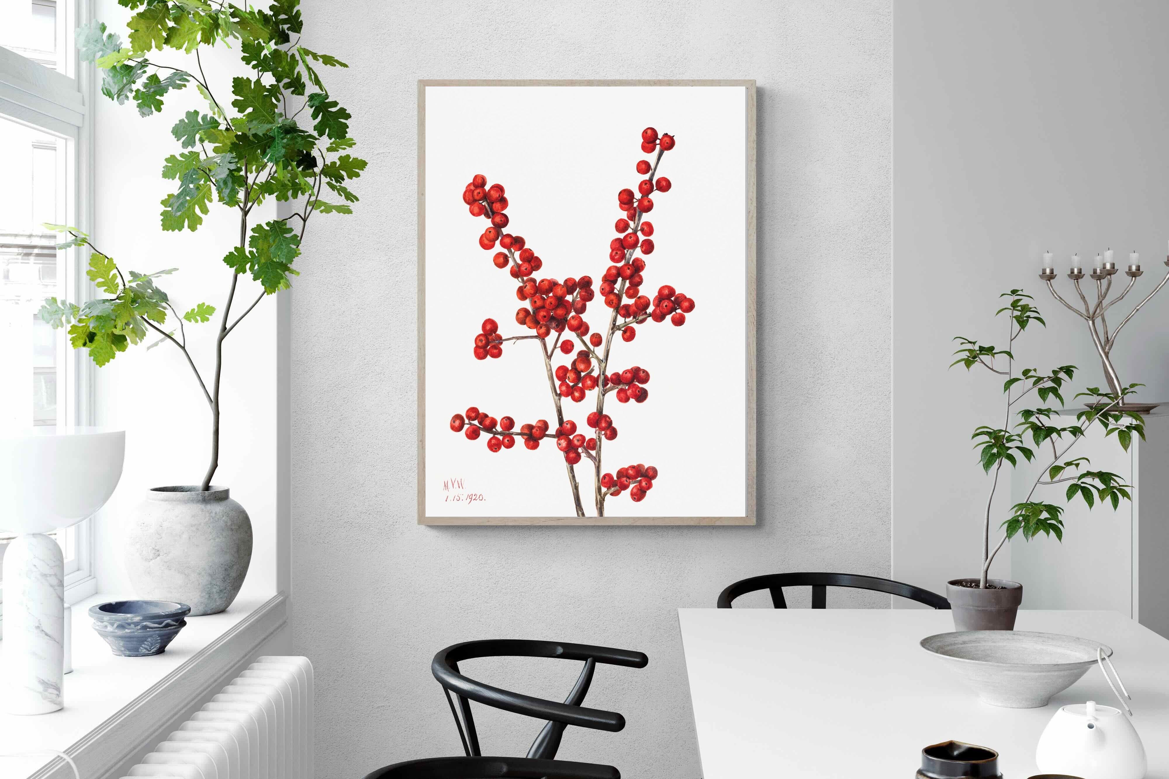 Pixalot Winterberry