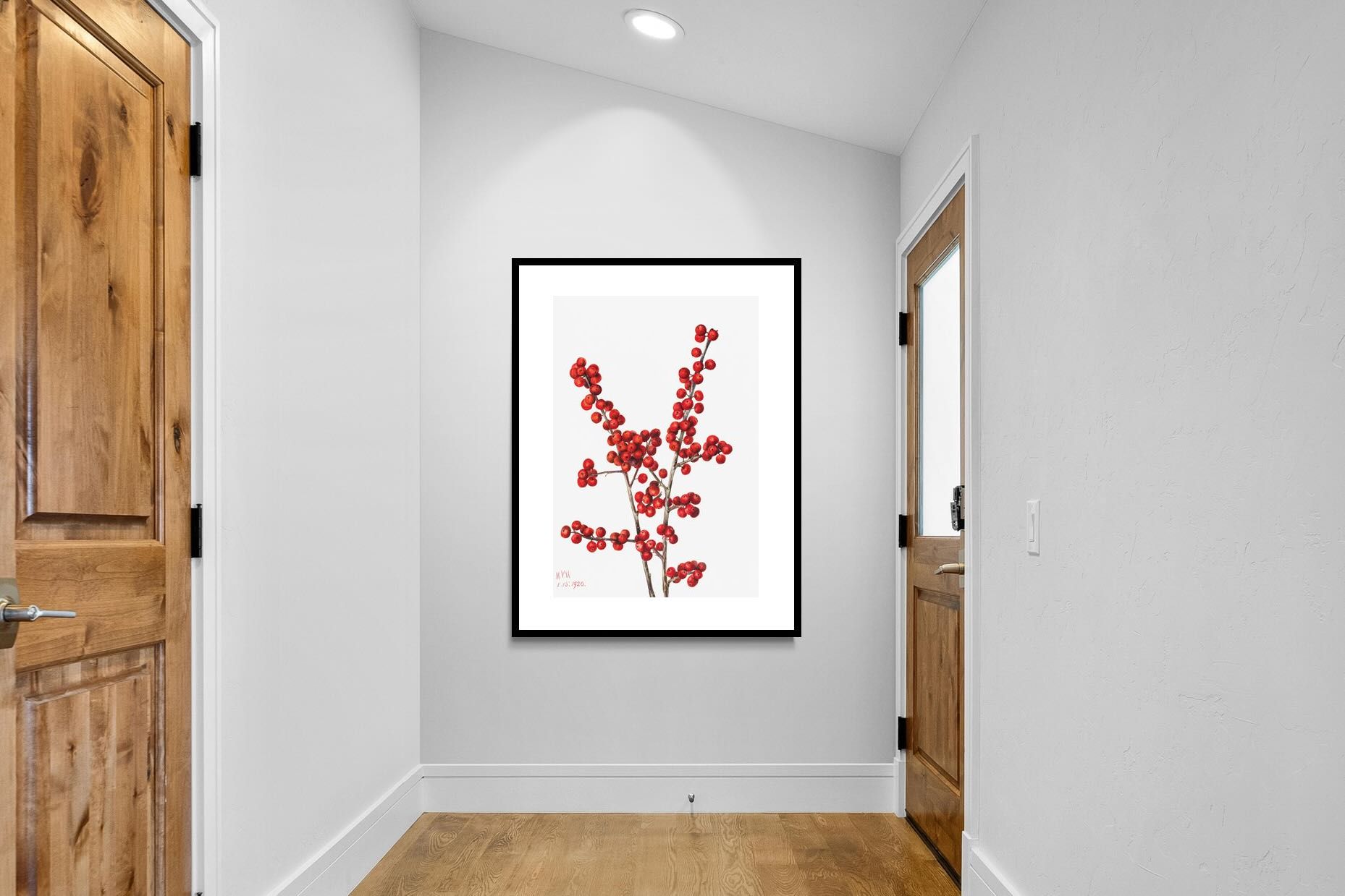 Pixalot Winterberry