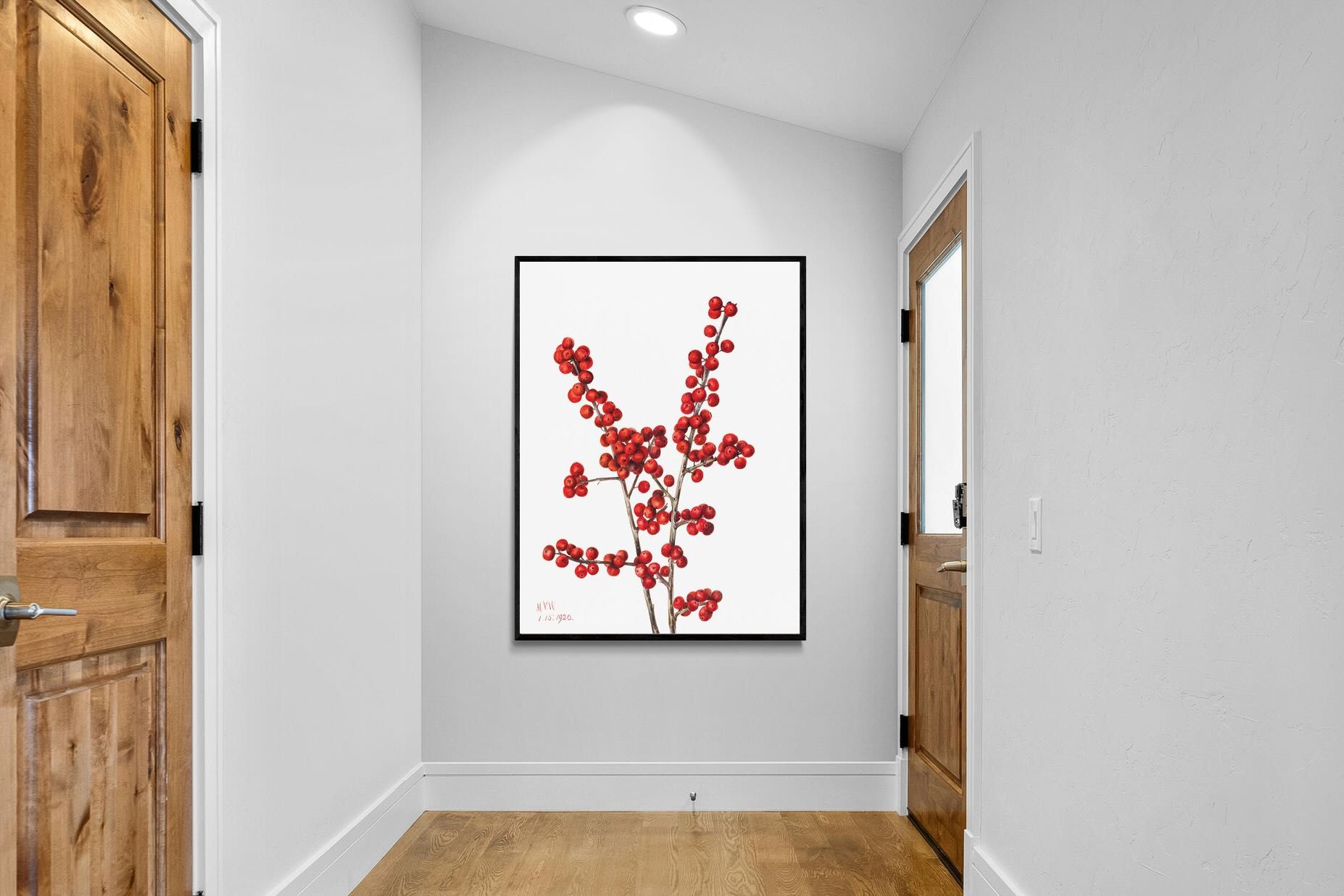 Pixalot Winterberry