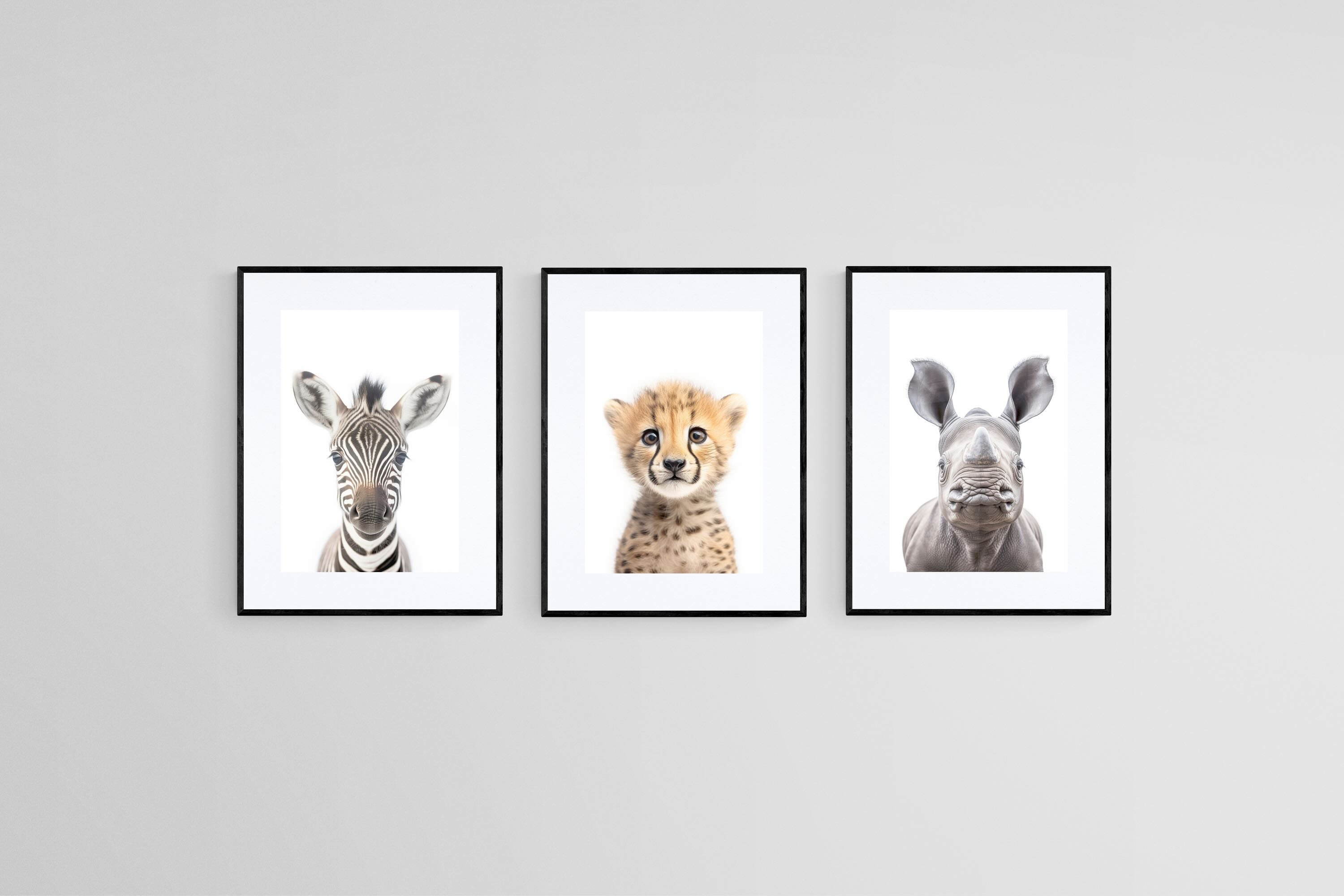 Zebra Cheetah Rhino Set-Wall_Art-45 x 60cm (x3)-Framed Print-Black-Pixalot