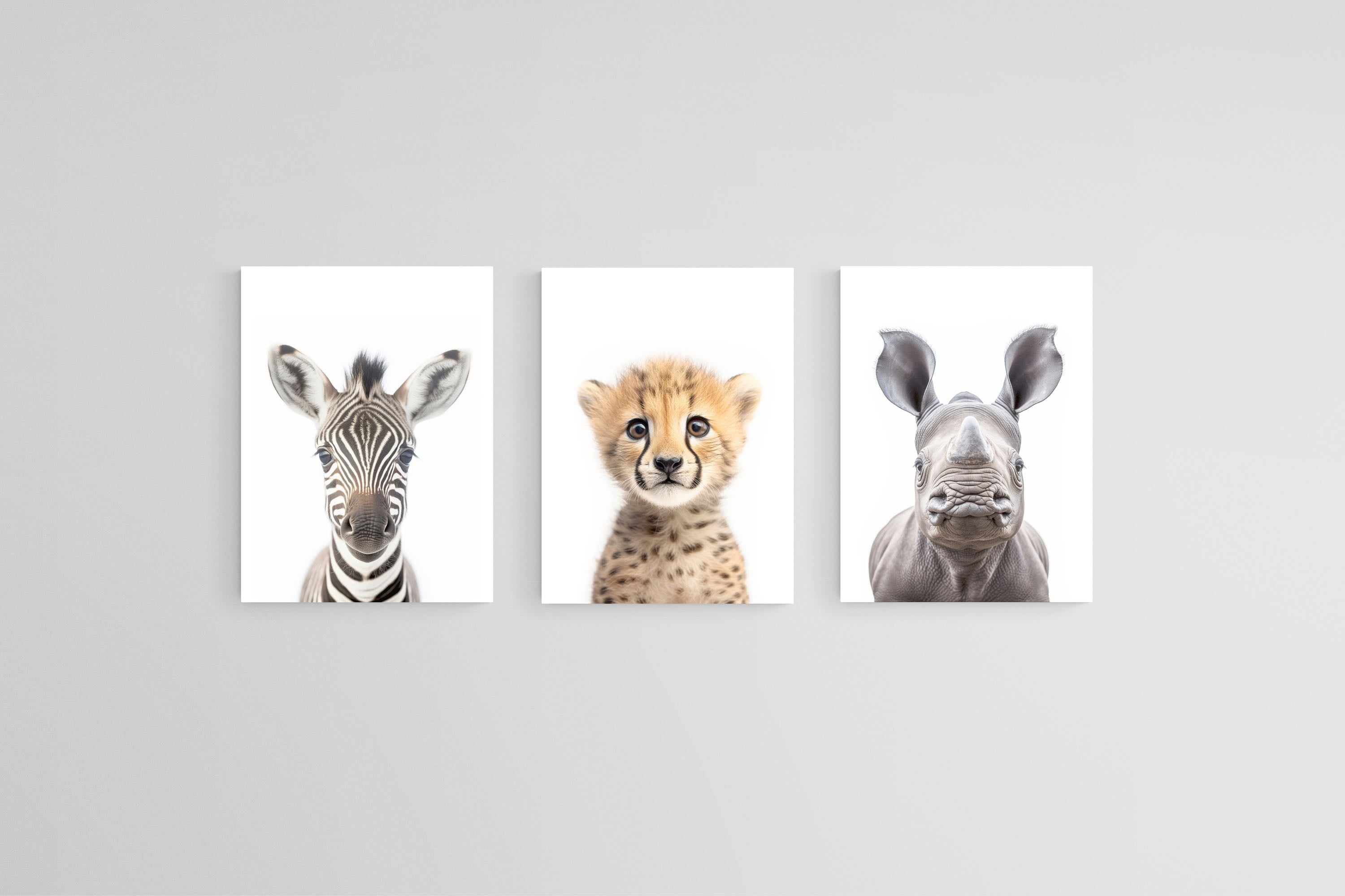 Zebra Cheetah Rhino Set-Wall_Art-45 x 60cm (x3)-Mounted Canvas-No Frame-Pixalot