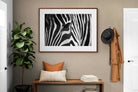 Pixalot ® Zebra Eye