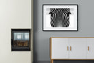 Pixalot Zebra Gaze