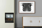 Pixalot Zebra Gaze