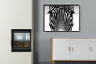 Pixalot Zebra Gaze