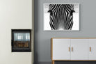 Pixalot Zebra Gaze