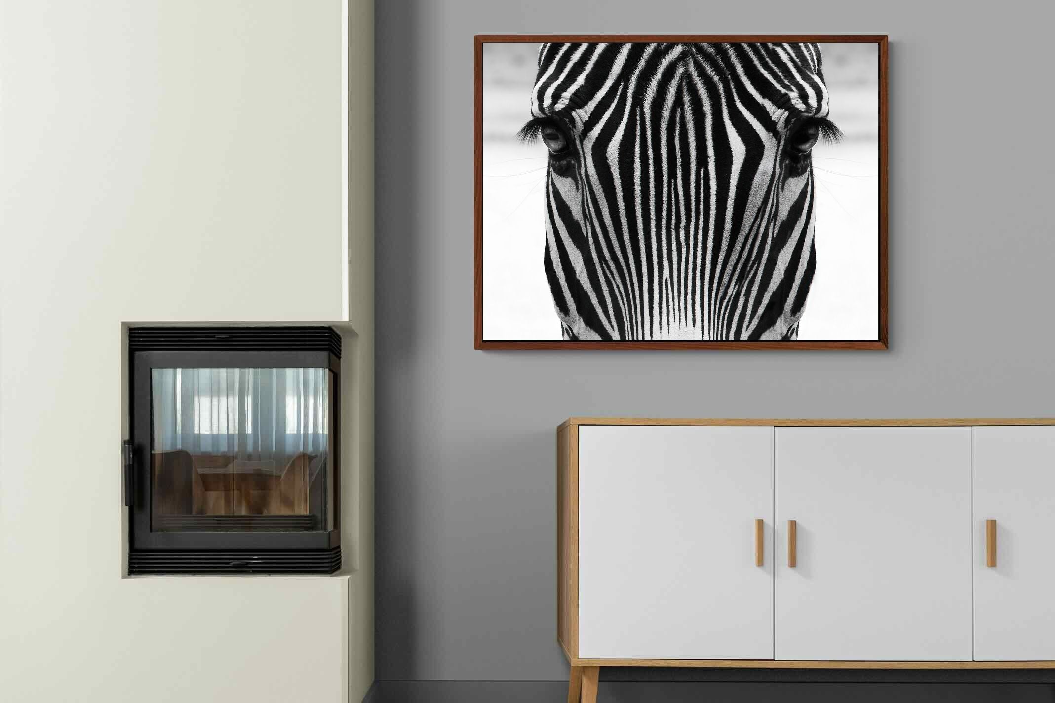 Pixalot Zebra Gaze