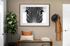 Pixalot Zebra Gaze