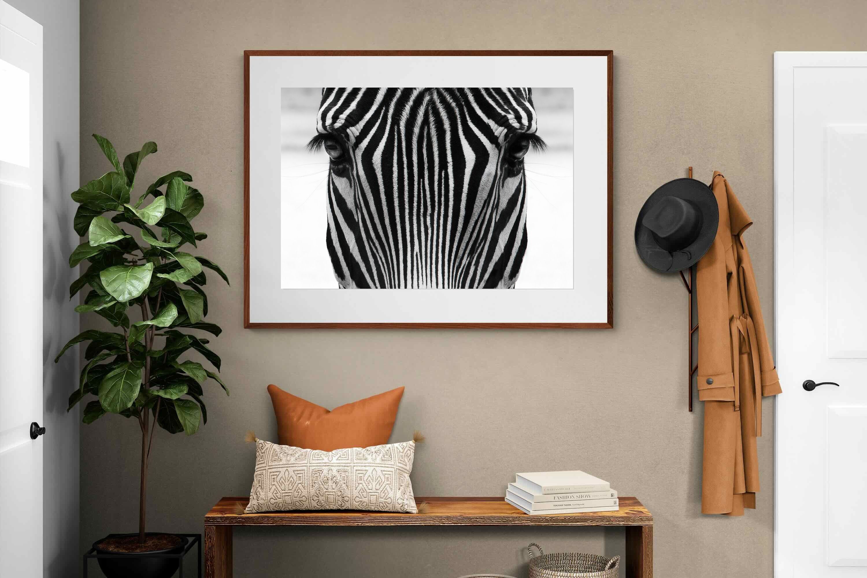 Pixalot Zebra Gaze