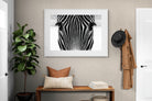 Pixalot Zebra Gaze