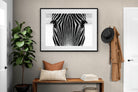 Pixalot Zebra Gaze