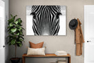 Pixalot Zebra Gaze