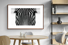 Pixalot Zebra Gaze