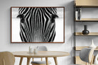 Pixalot Zebra Gaze
