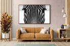 Pixalot Zebra Gaze