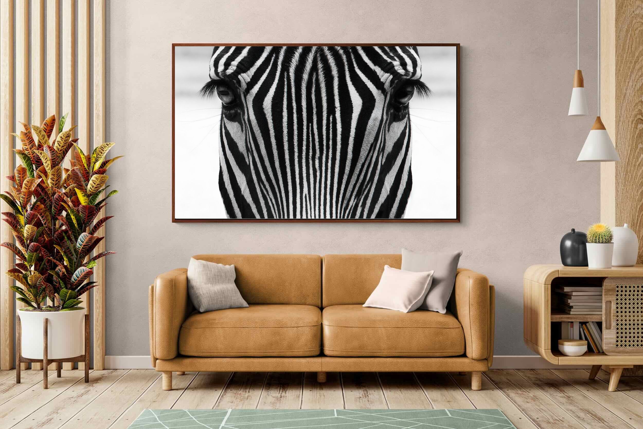 Pixalot Zebra Gaze