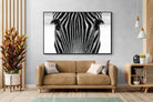 Pixalot Zebra Gaze