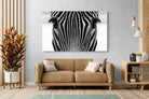 Pixalot Zebra Gaze
