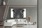 Pixalot Zebra Gaze