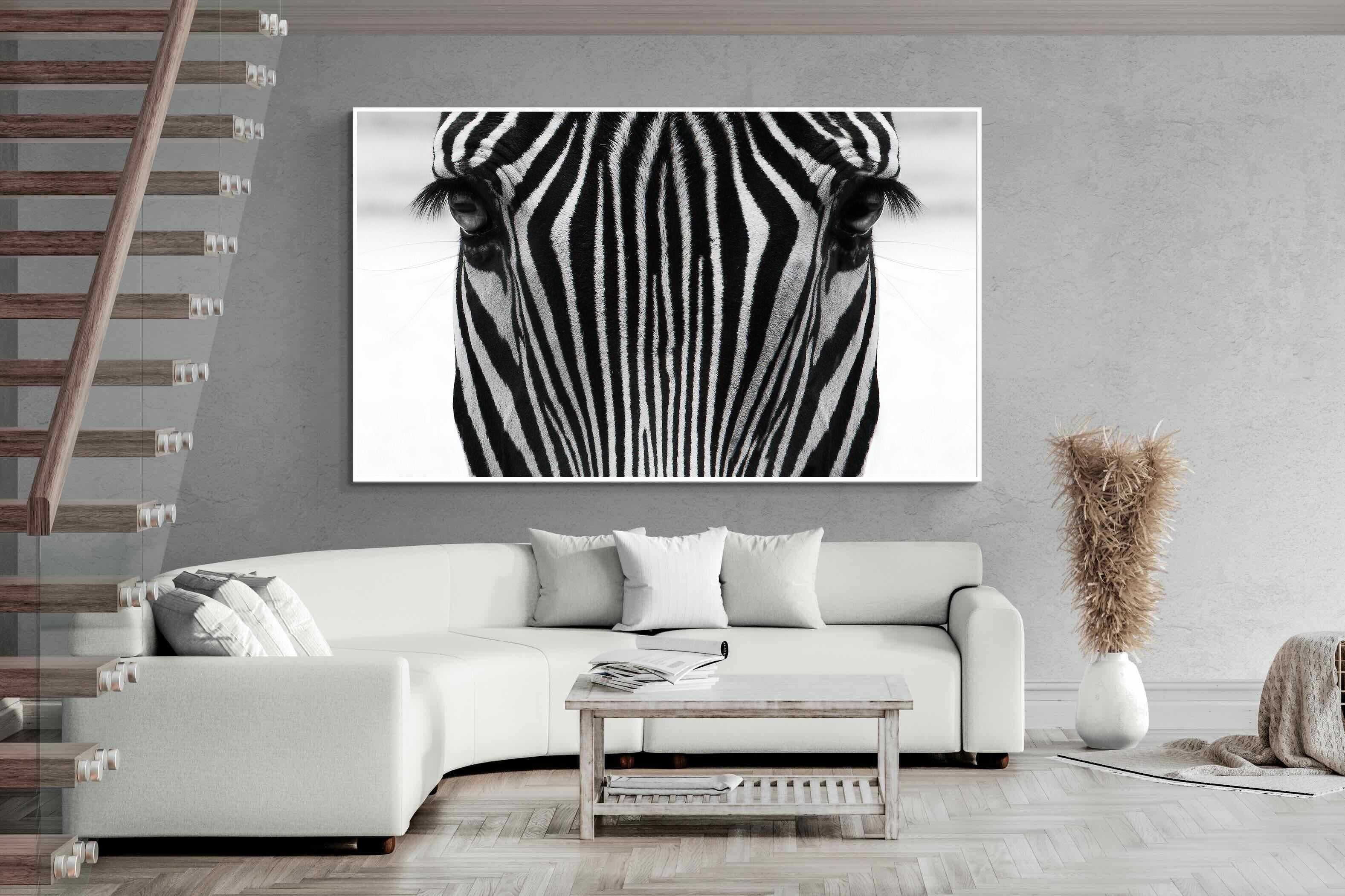 Pixalot Zebra Gaze