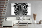 Pixalot Zebra Gaze