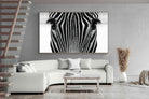 Pixalot Zebra Gaze