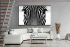 Pixalot Zebra Gaze